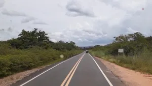 BR-135 terá sinal de celular ampliado em 615 km no Piauí