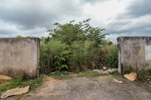 Departamento de Postura da Prefeitura segue com fiscalização de terrenos baldios