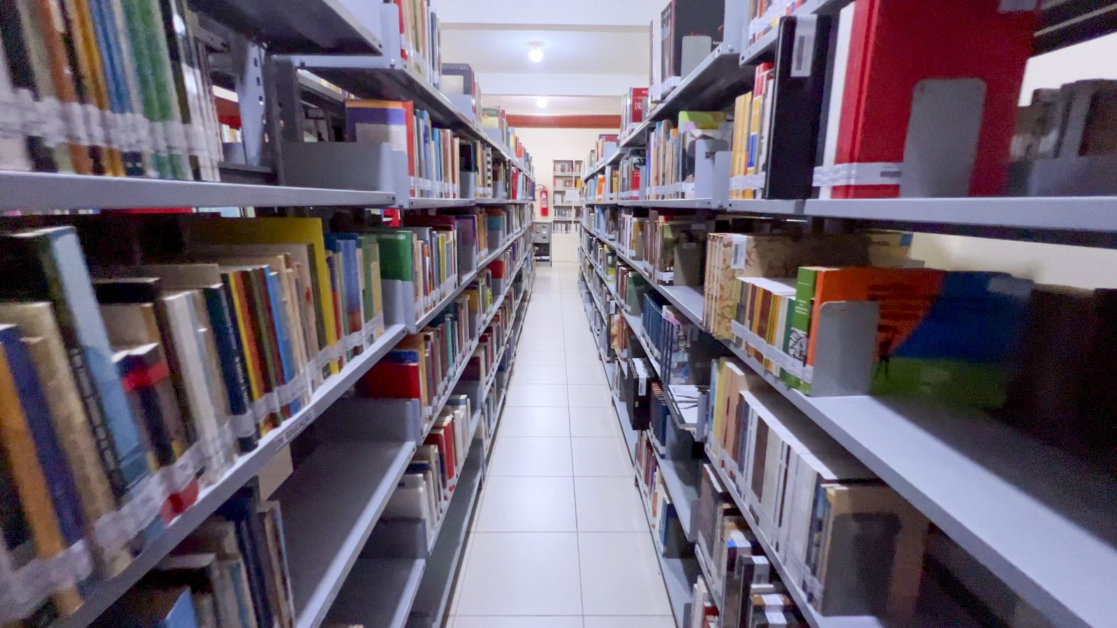 Biblioteca Municipal Francisco Meirelles completa 50 anos de criação