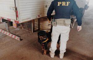 PRF prende homem por maus tratos a animais em Ji-Paraná