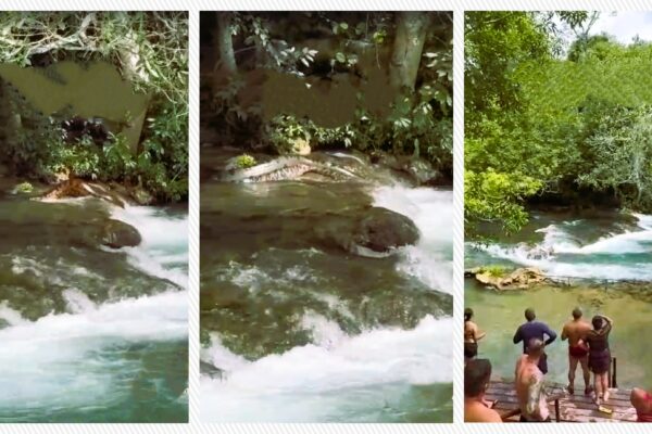 Sucuri gigante em lago assusta banhistas