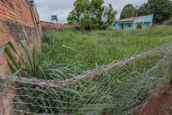 População pode denunciar irregularidades em terrenos baldios da capital