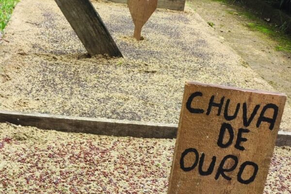 Técnicos municipais visitam Universidade Federal do Amazonas