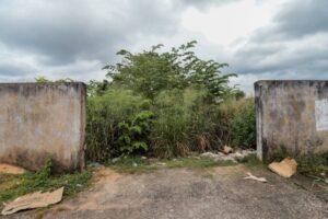 Prefeitura de Porto Velho notifica proprietários de terrenos baldios para que realizem a limpeza dos imóveis