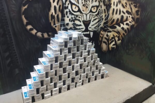 Polícia Militar realiza apreensão de cigarros contrabandeados durante a operação Protetor das Fronteiras e Divisas