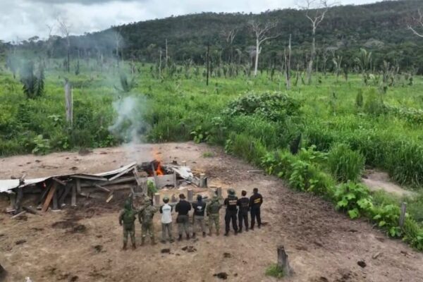 PF realiza ação de combate a crimes ambientais em Rondônia