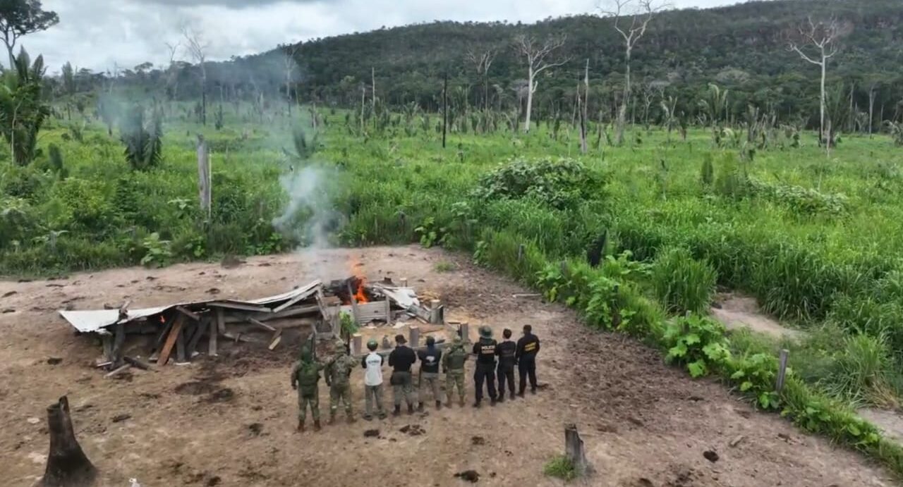 PF realiza ação de combate a crimes ambientais em Rondônia