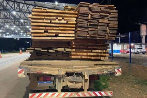 Em Ariquemes, PRF identifica transporte irregular de madeira