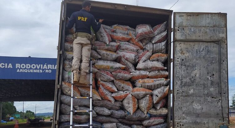 Em Ariquemes, PRF identifica transporte irregular de produtos florestais