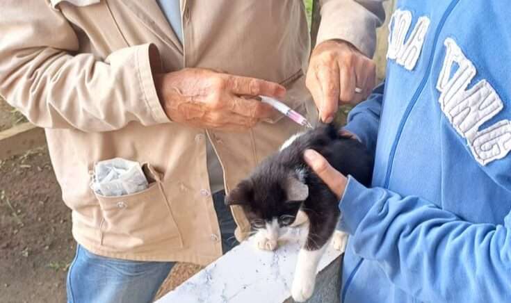 Prefeitura realiza vacinação antirrábica na zona rural de Porto Velho