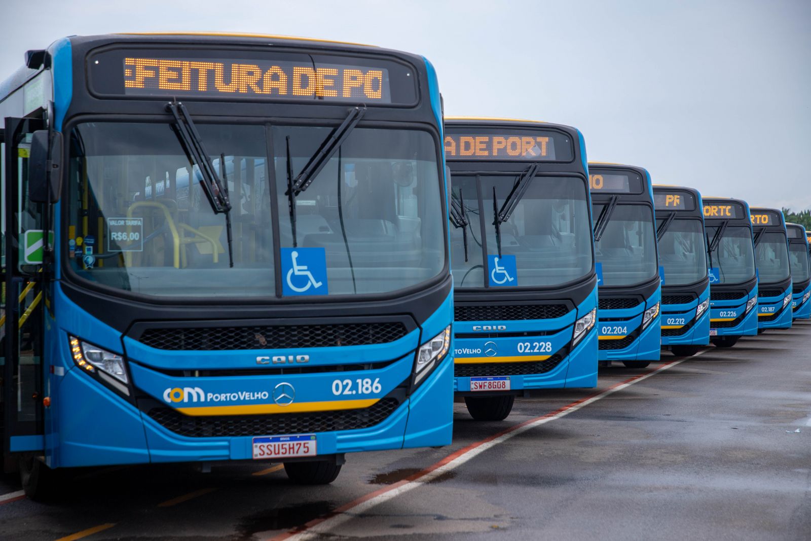 Transporte coletivo oferece à população qualidade e conforto de modernos veículos