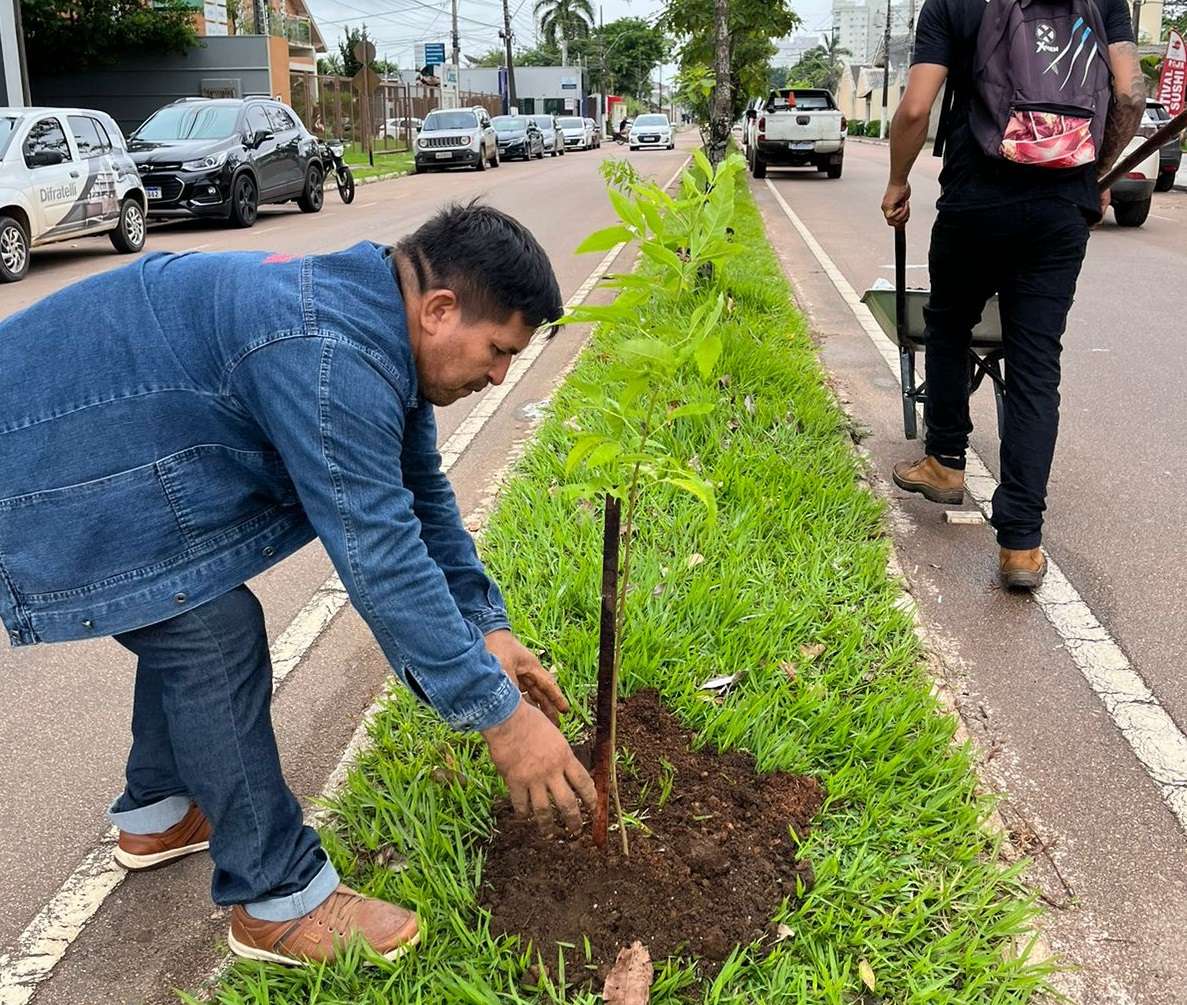 Município realiza plantio de novas mudas ao longo da avenida Lauro Sodré