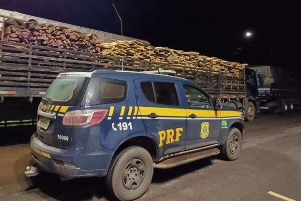 Em Porto Velho, PRF identifica transporte irregular de madeira