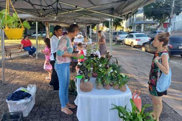Giro Empreendedor gera oportunidade e renda a pequenos empreendedores e artesãos
