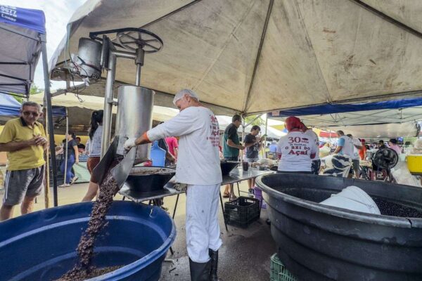 Venda de açaí garante sustento de feirante e de toda a família