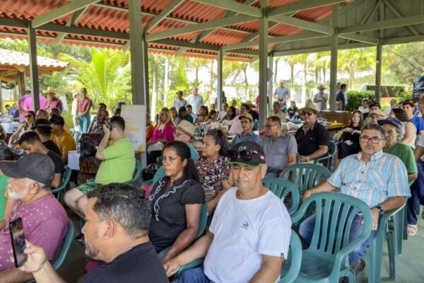 Com produção de mel em alta, Porto Velho recebe o Dia Especial de Apicultura da Amazônia Ocidental