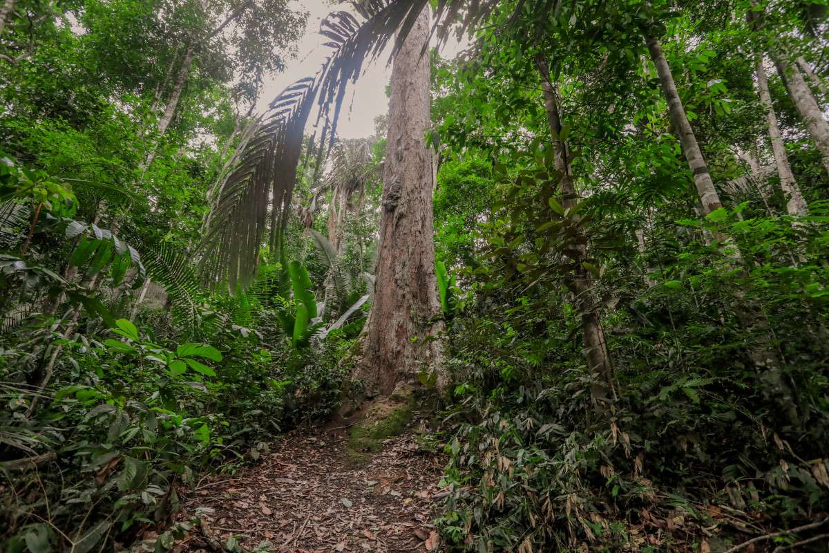 Prefeitura e parceiros realizam evento sobre sustentabilidade e mudanças climáticas nestes dias 15 e 16