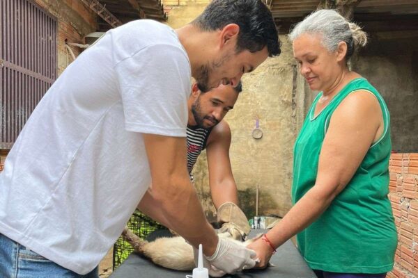 Atendimento veterinário chega aos abrigos de animais em Porto Velho