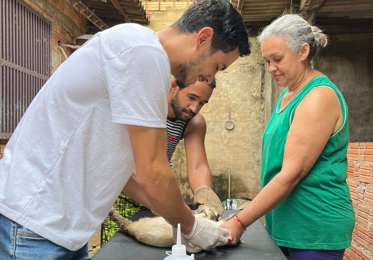 Atendimento veterinário chega aos abrigos de animais em Porto Velho