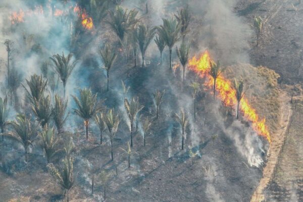 Prefeitura de Porto Velho alerta para o aumento de queimadas durante o período de estiagem