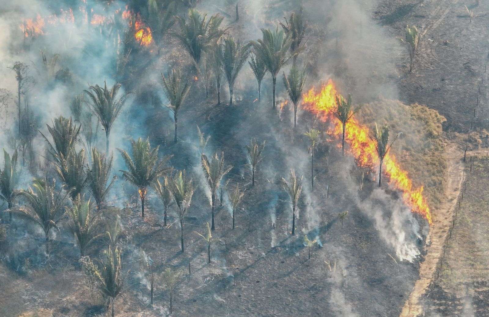 Prefeitura de Porto Velho alerta para o aumento de queimadas durante o período de estiagem