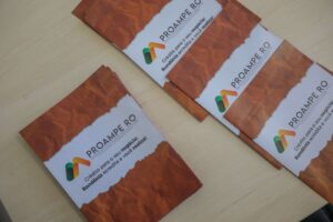 Proampe atinge a marca de R$ 4 milhões em propostas aprovadas de microcrédito produtivo e orientado em Porto Velho
