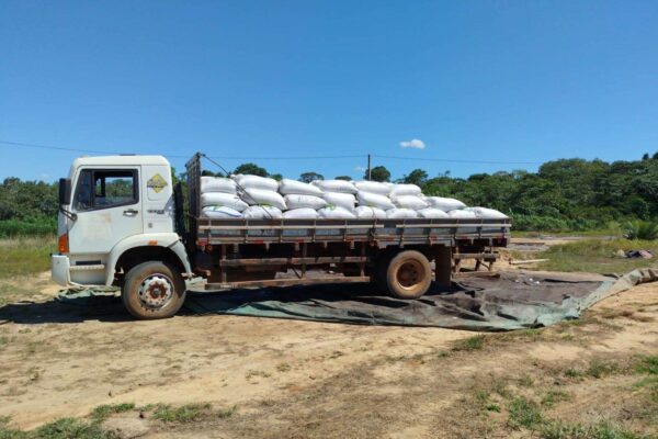 Produtor rural que aderiu ao programa da Prefeitura de Porto Velho colheu 160 sacas de café