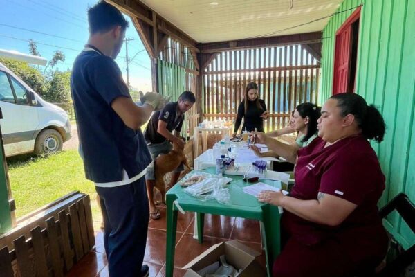 Serviços veterinários são exclusivamente gratuitos para a população de baixa renda