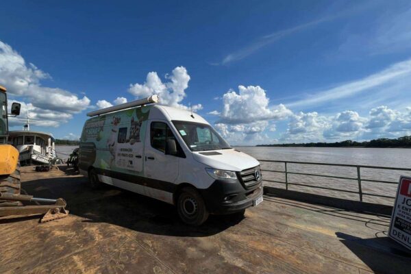 Prefeitura segue com programação de castração gratuita de animais de pequeno porte em Porto Velho e distritos