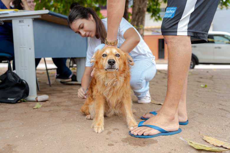 Após caso de raiva em morcego, Prefeitura executa ação de bloqueio com vacinação de animais domésticos