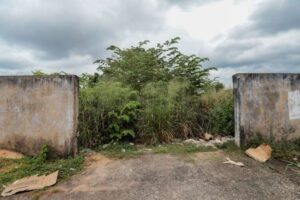 Saiba como colaborar com denúncias de terrenos baldios irregulares em Porto Velho