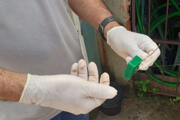 Prefeitura executa ação para controle de roedores em bairro da zona Norte de Porto Velho
