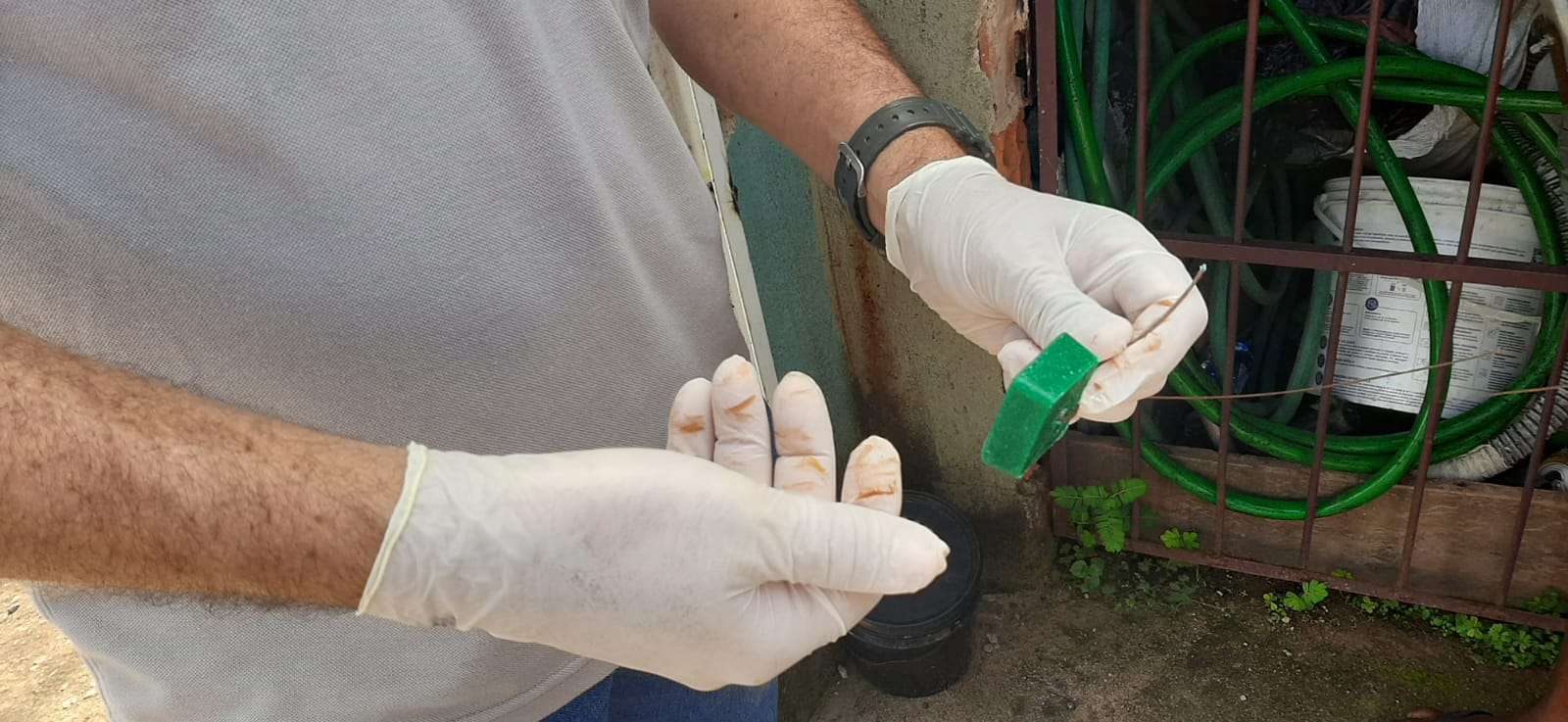 Prefeitura executa ação para controle de roedores em bairro da zona Norte de Porto Velho