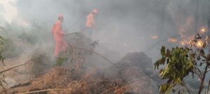 www.deixaeutefalar.com.br Alero aprova projetos que destinam mais de R$ 26 milhões para bombeiros combaterem queimadas