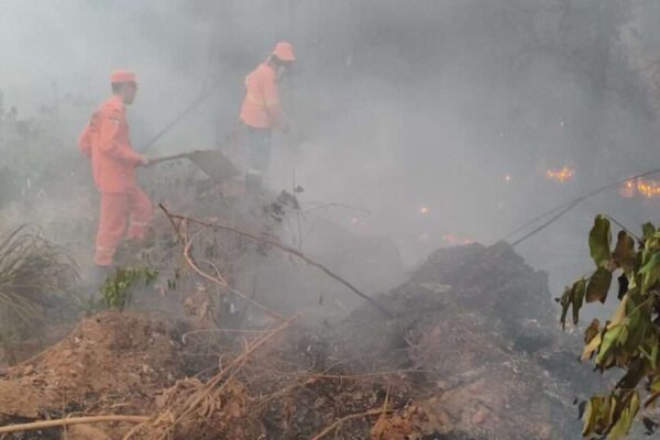 Alero aprova projetos que destinam mais de R$ 26 milhões para bombeiros combaterem queimadas