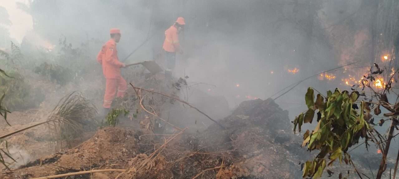 Alero aprova projetos que destinam mais de R$ 26 milhões para bombeiros combaterem queimadas