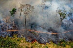 Como a inalação de fumaça pode ser mais perigosa do que o próprio fogo