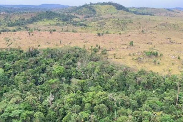 MPRO recomenda embargo na Reserva Extrativista Jaci-Paraná