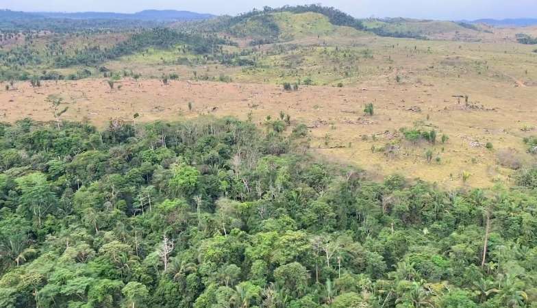 MPRO recomenda embargo na Reserva Extrativista Jaci-Paraná