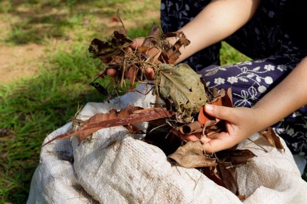Compostagem é solução sustentável para eliminar resíduos de folhagens
