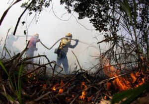 MP aciona municípios de RO e ACRE para garantir Plano de Prevenção e Controle de Queimadas