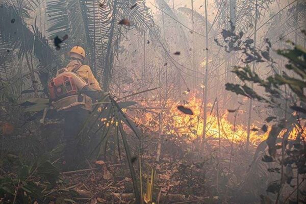 MPF entra na Justiça para garantir a contratação de 450 brigadistas para combate a incêndios em Rondônia