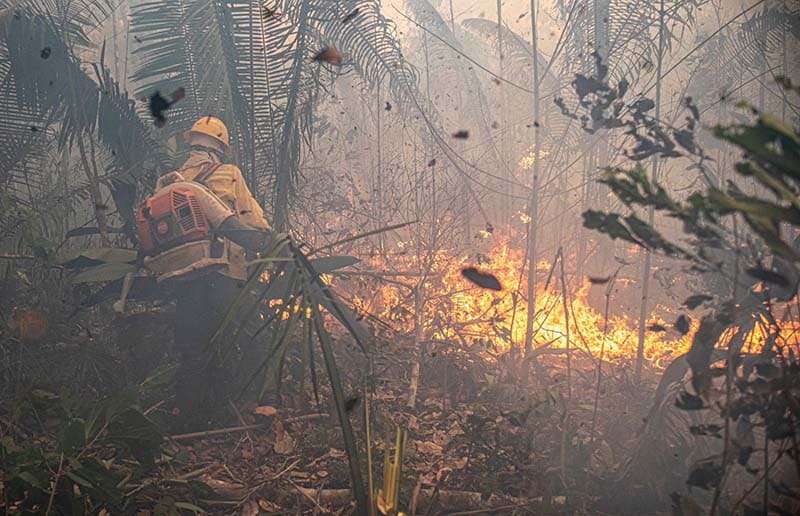 MPF entra na Justiça para garantir a contratação de 450 brigadistas para combate a incêndios em Rondônia