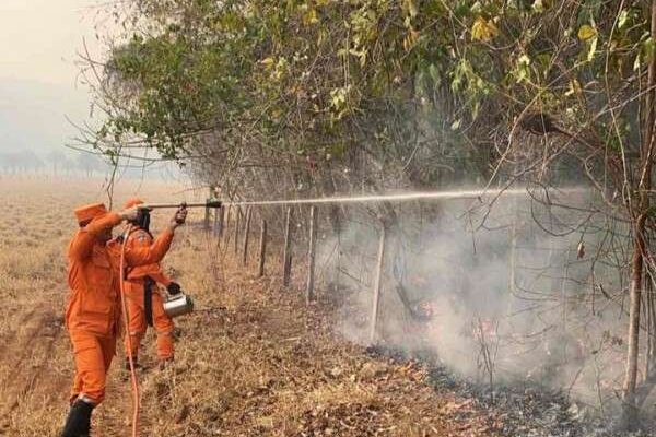Assembleia aprova sanções para responsáveis por incêndios