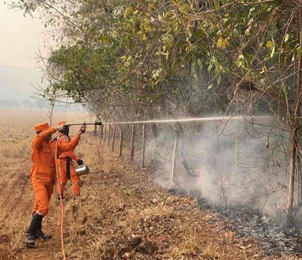 Assembleia aprova sanções para responsáveis por incêndios