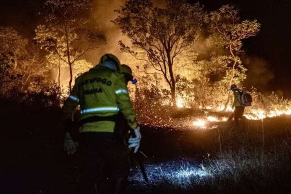 Queimadas em Rondônia Dispara 144% e coloca Porto Velho em Crise de Saúde e Energia