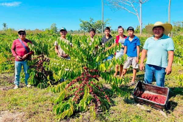 Governo de Rondônia divulga edital para o Programa de Aquisição de Alimentos Indígenas