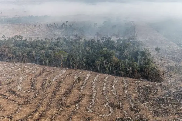 STF permite desapropriação de terra por incêndio ilegal e desmatamento