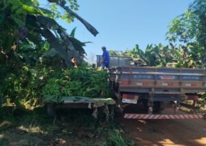 Prefeitura de Porto Velho convoca agricultores familiares para atualização de cadastro rural