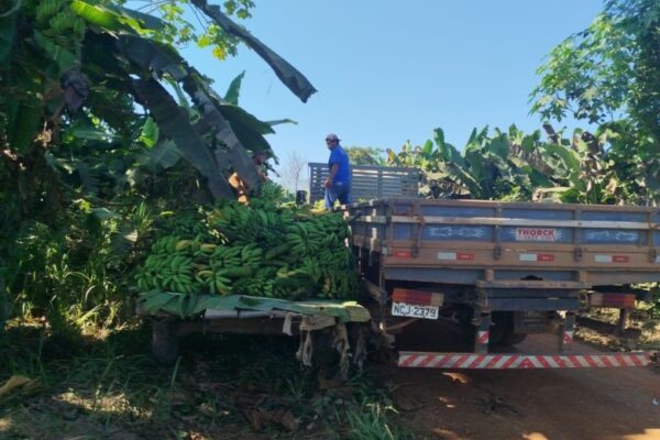 Prefeitura de Porto Velho convoca agricultores familiares para atualização de cadastro rural